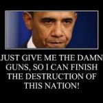 Obama-On-Guns