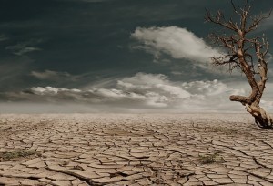 Drought-Public-Domain-300x204