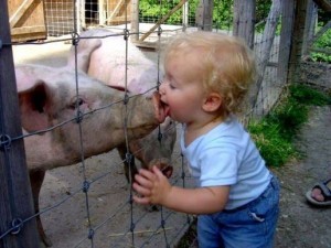 Kid-Kissing-Pig-300x225