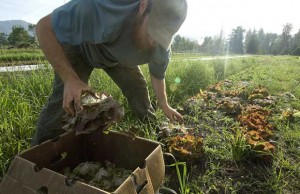 GuerrillaGardening