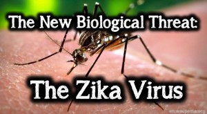 BIG-Zika1