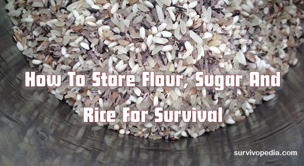 Survivopedia-store-rice